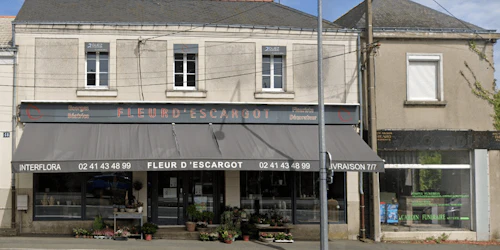 Photographie de Fleuriste Fleur d'Escargot de l'Angers