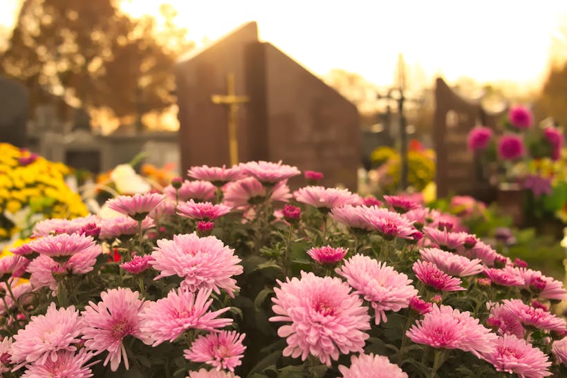 cimetière 