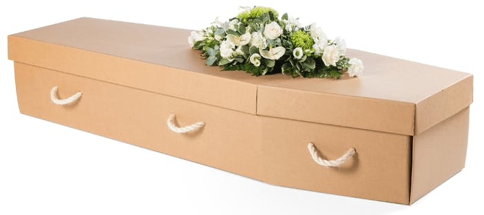cercueil en carton