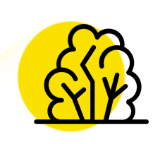 Bepflanzung mit Bäumen oder Sträuchern