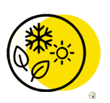 Het hele jaar spelen, zonder beperkingen