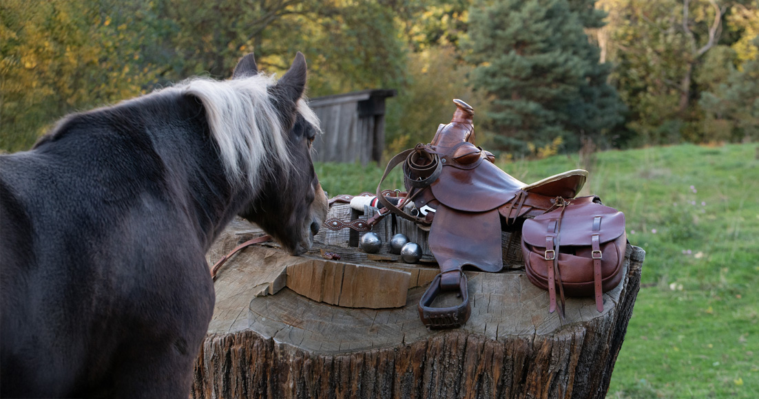 El alma del ocio, pura y alegre