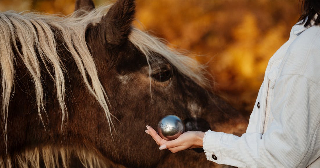 Le plaisir du jeu à cœur ouvert