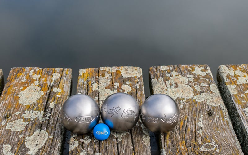 Carpe diem, Carpe Koi