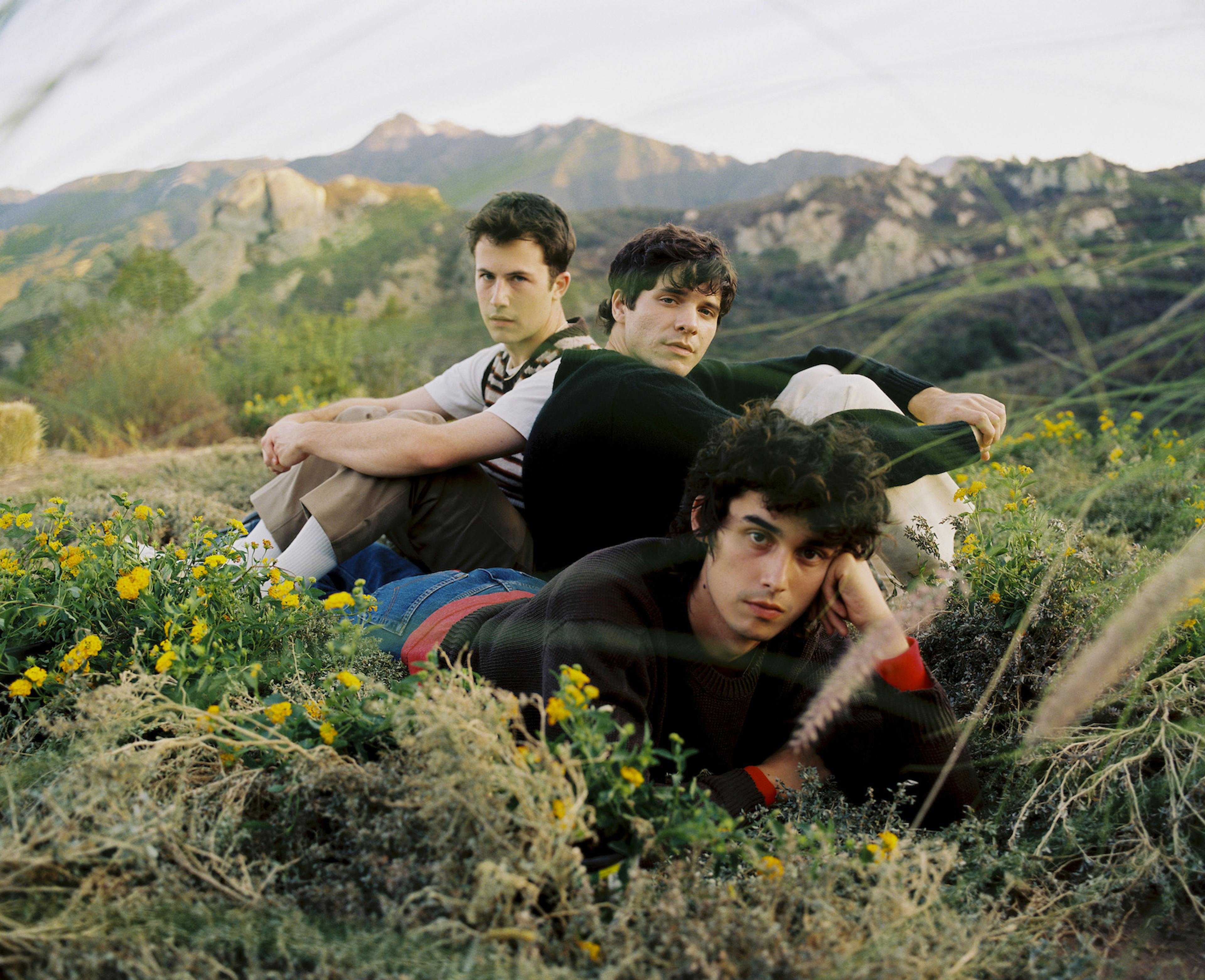  This photo shows the band Wallows. Three young men are sitting in a field with yellow flowers and dry grass. The background features hills and a clear sky with light cloud streaks. The men are casually dressed, appearing contemplative and relaxed, with the frontmost member resting his head on his hand.