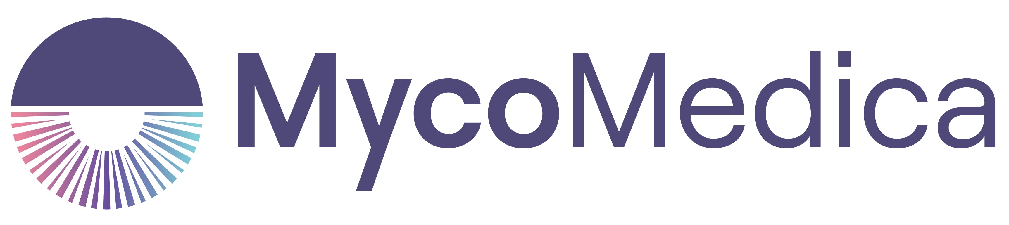 portfolio company brand image