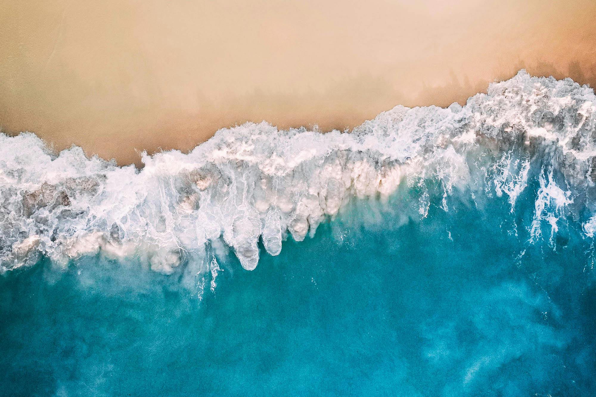 MERR WATSON / OCEAN IMAGE BANK