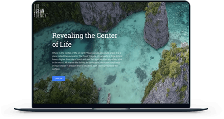 Revealing the Center of Life screen mockup