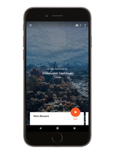 Underwater Caribbean phone screen mockup