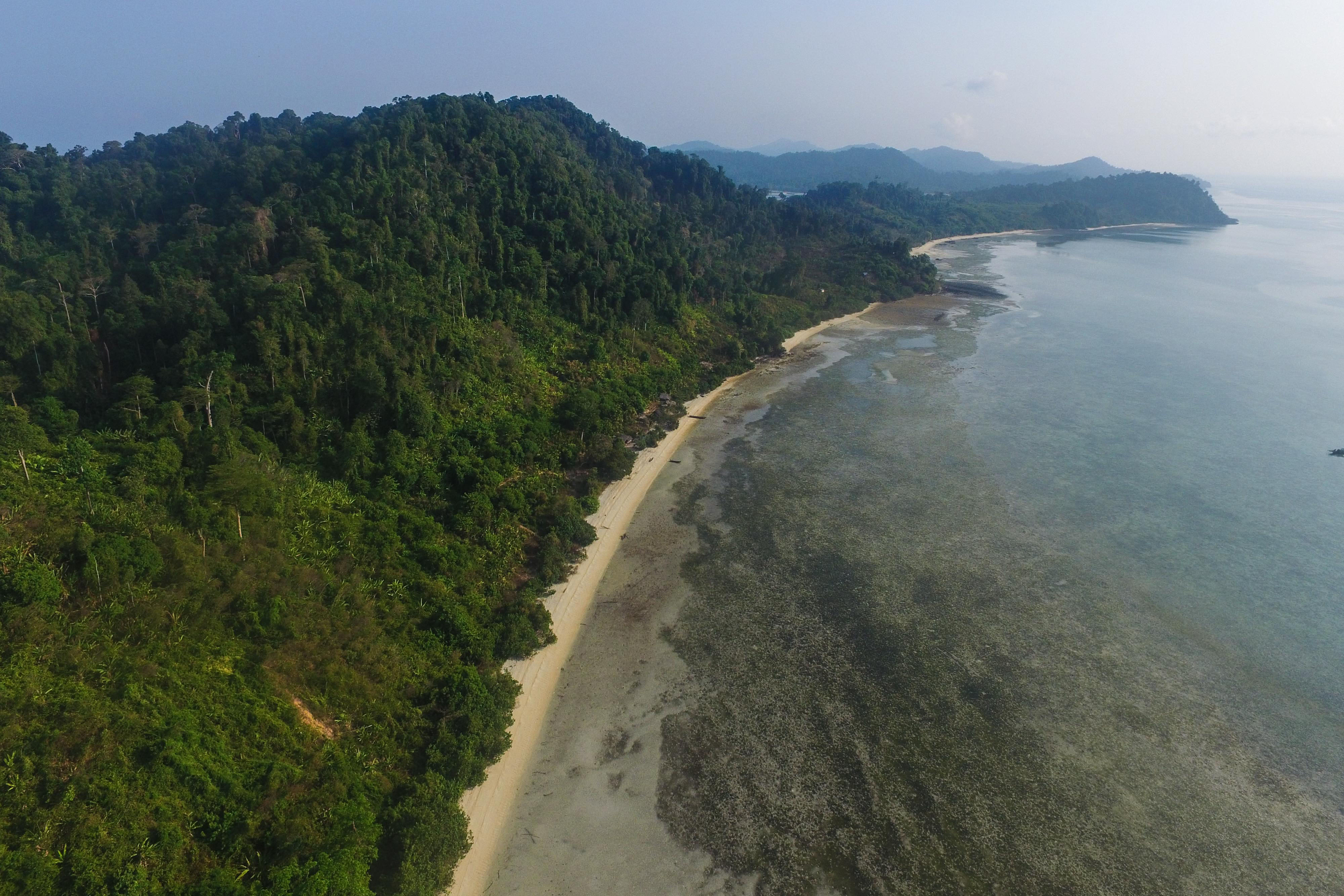 The Magic Of Seagrass: Seagrass Is The Ocean's Wild Savannah - The ...