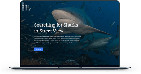 Searching for Sharks in Street View screen mockup