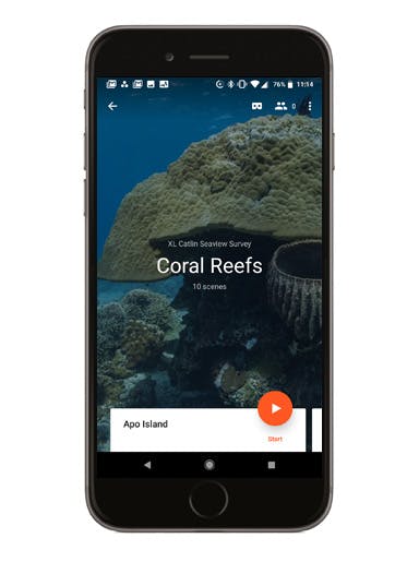 Coral Reefs phone screen mockup
