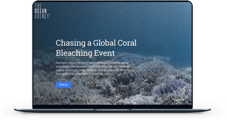 Chasing a Global Coral Bleaching Event screen mockup