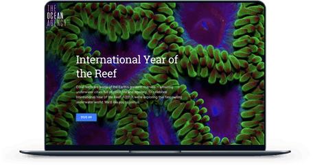 International Year of the Reef screen mockup