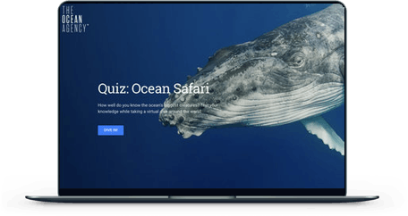 Ocean Safari screen mockup