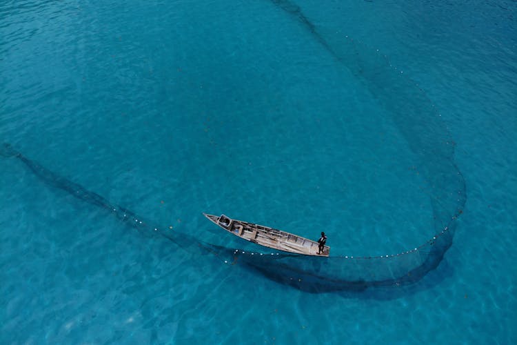 People fishing with nets