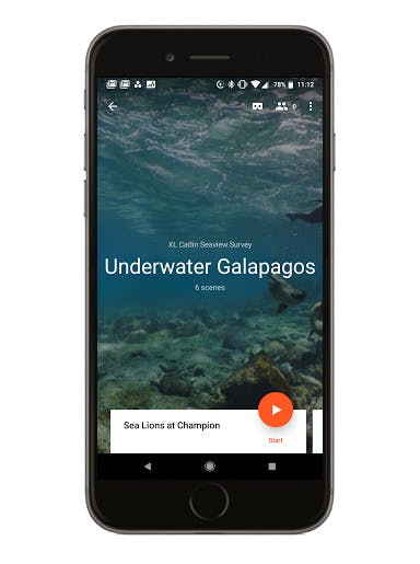 Underwater Galapagos phone screen mockup