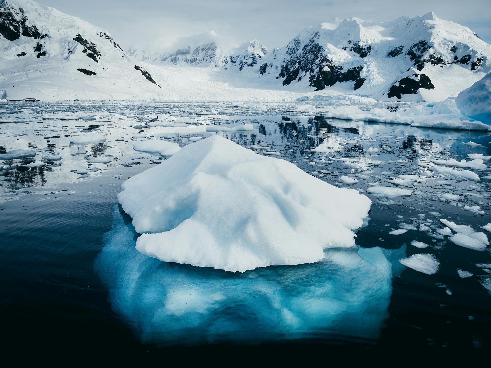 MATT HORSPOOL / OCEAN IMAGE BANK