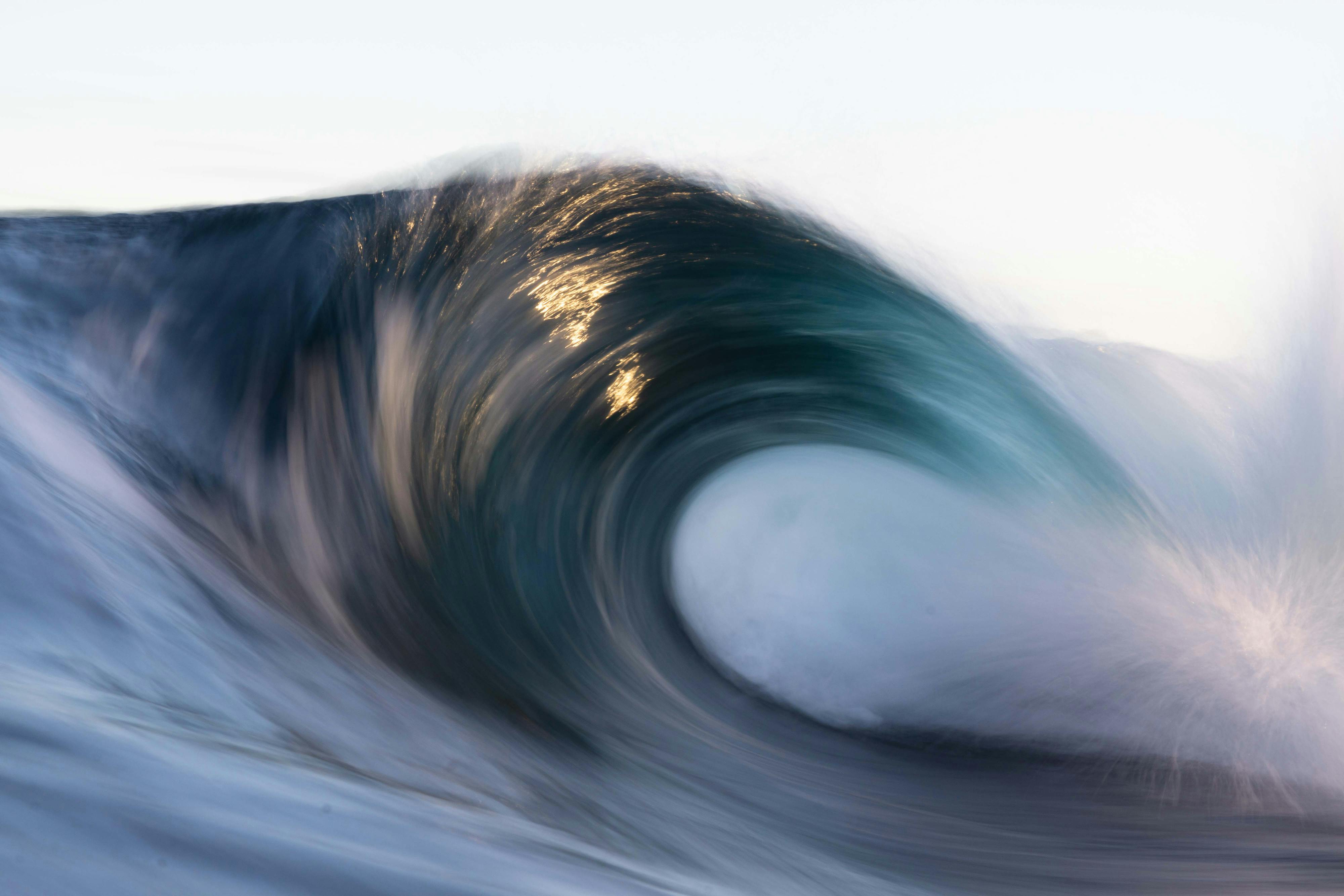 THOMAS HORIG / OCEAN IMAGE BANK