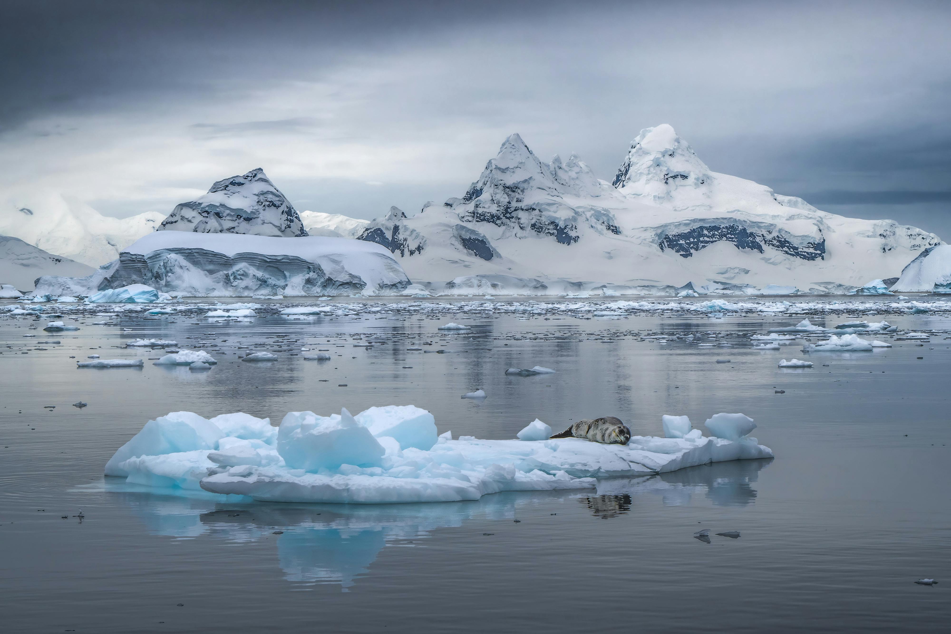 VIVEK MEHRA / OCEAN IMAGE BANK