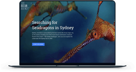 Searching for Seadragons in Sydney screen mockup
