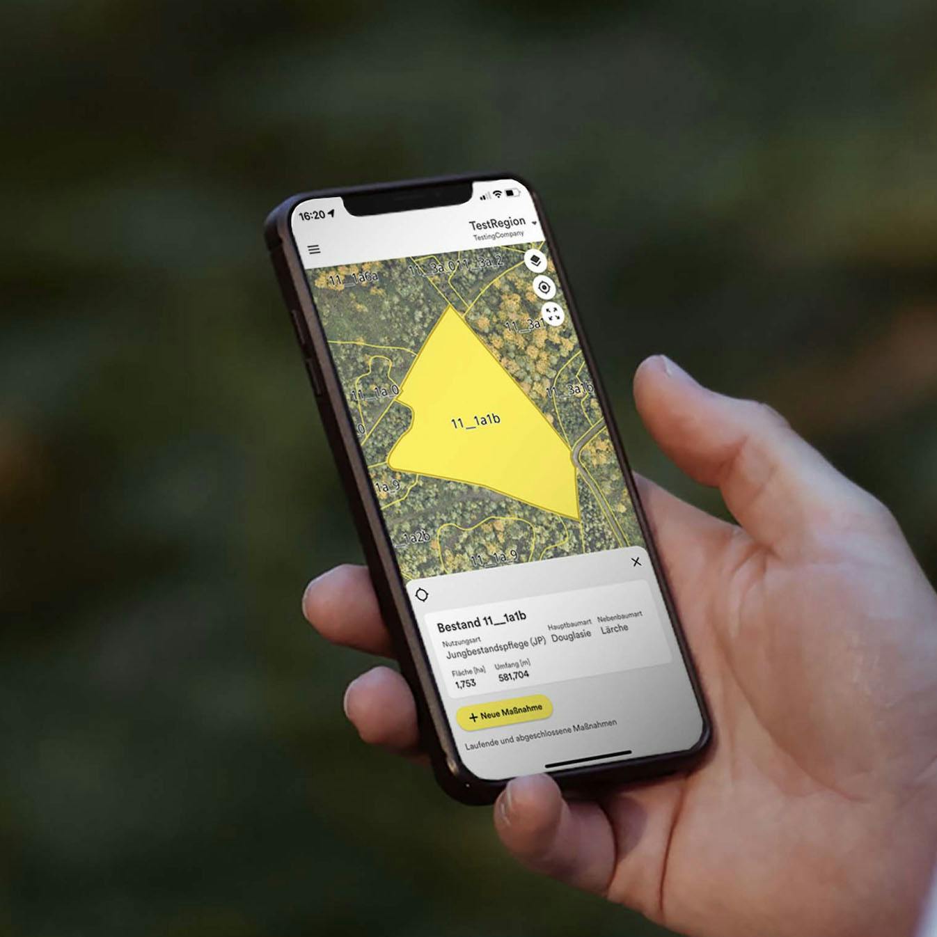 Handy, welches die Dynamic Forest App zeigt: Fläche in gelb eingezeichnet in einem Wald