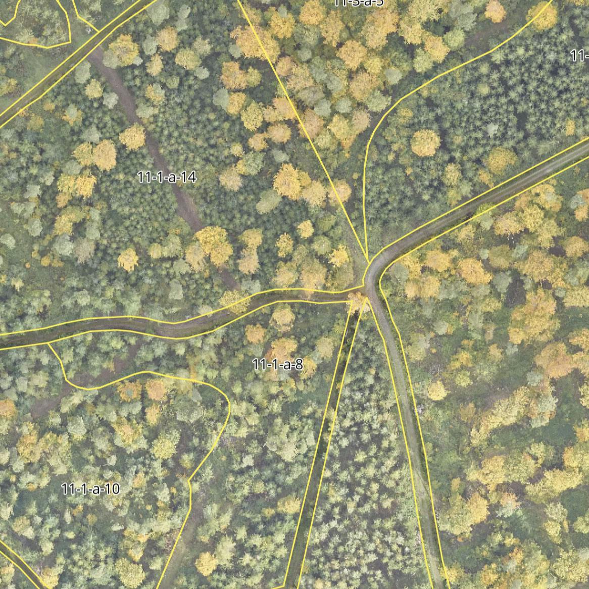 Aerial image of a forest displaying the different parts and back roads digitally in yellow 