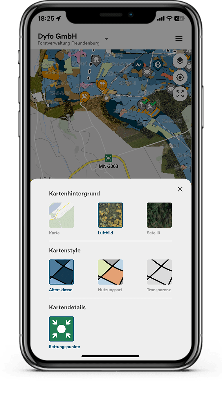 Mobile phone showing different possible map views in Dynamic Forest