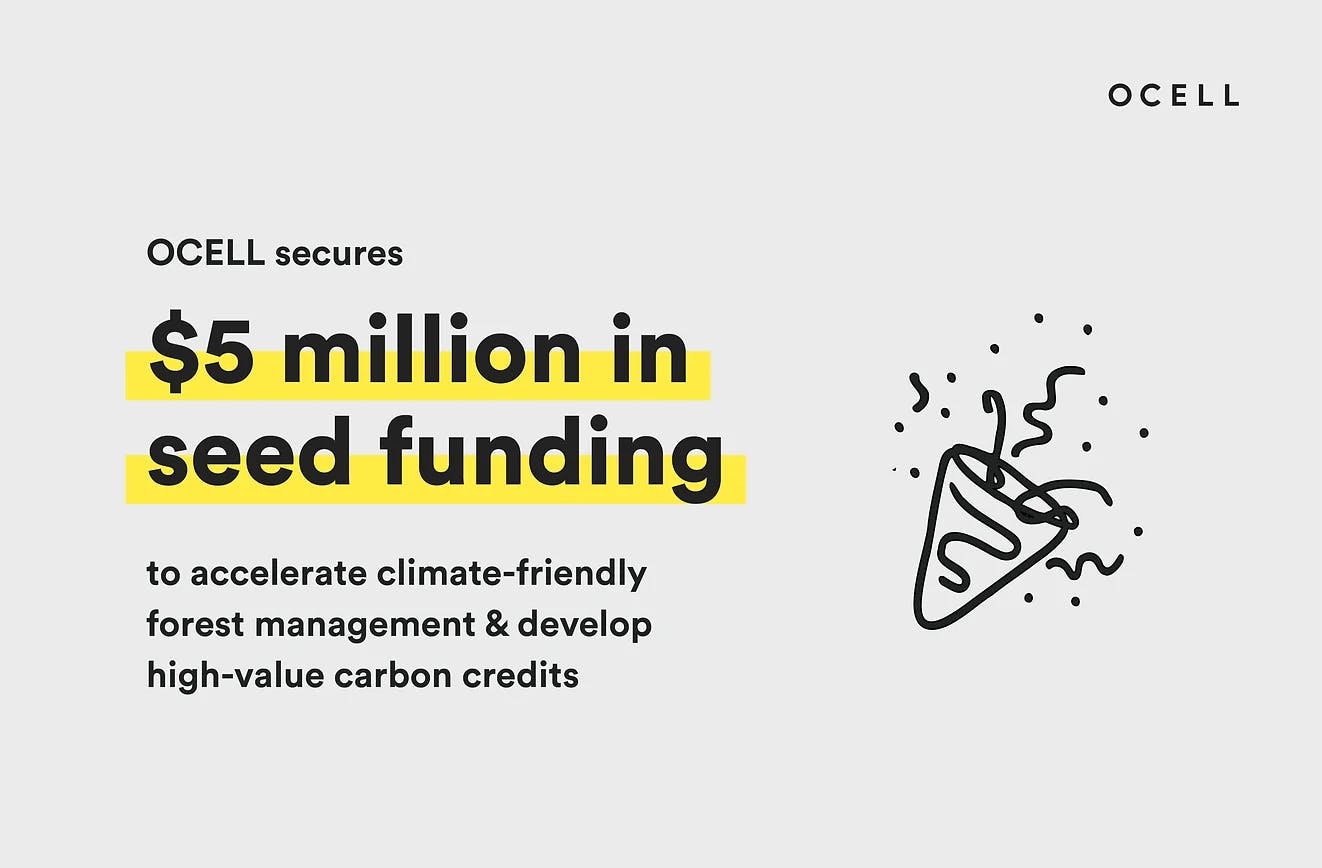 Image with a calebration doodle stating: OCELL secures $5 million in seed funding to accelerate climate-friendly forest management and develop high-value carbon credits