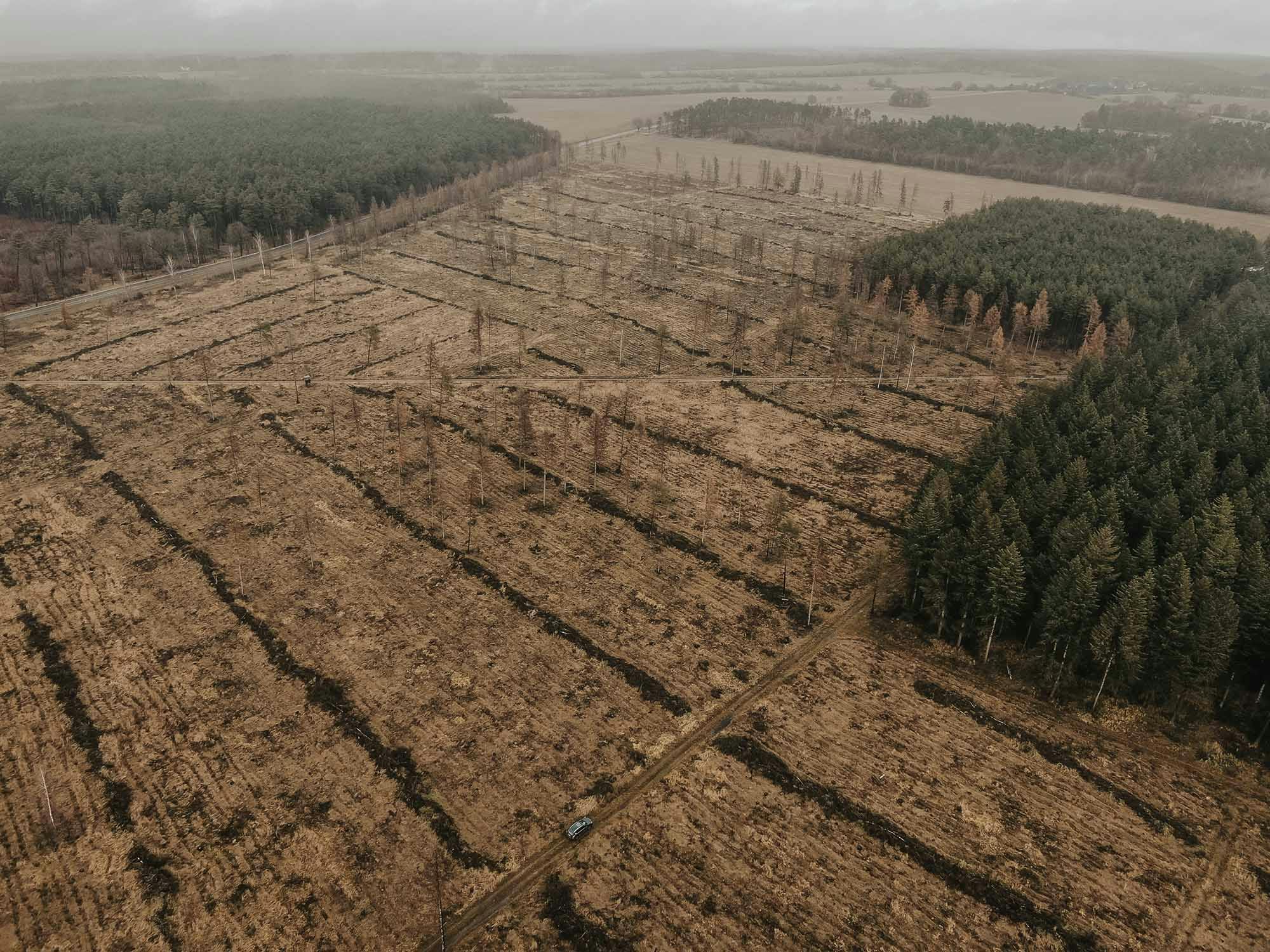 Aerial image showing huge damaged forests parts (Photo: Christian Stuhlmann)