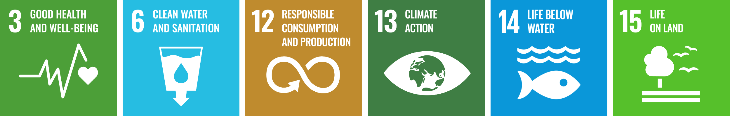 Bild der Ziele für nachaltige Entwicklung (SDGs) 3, 6, 12, 13, 14 und 15