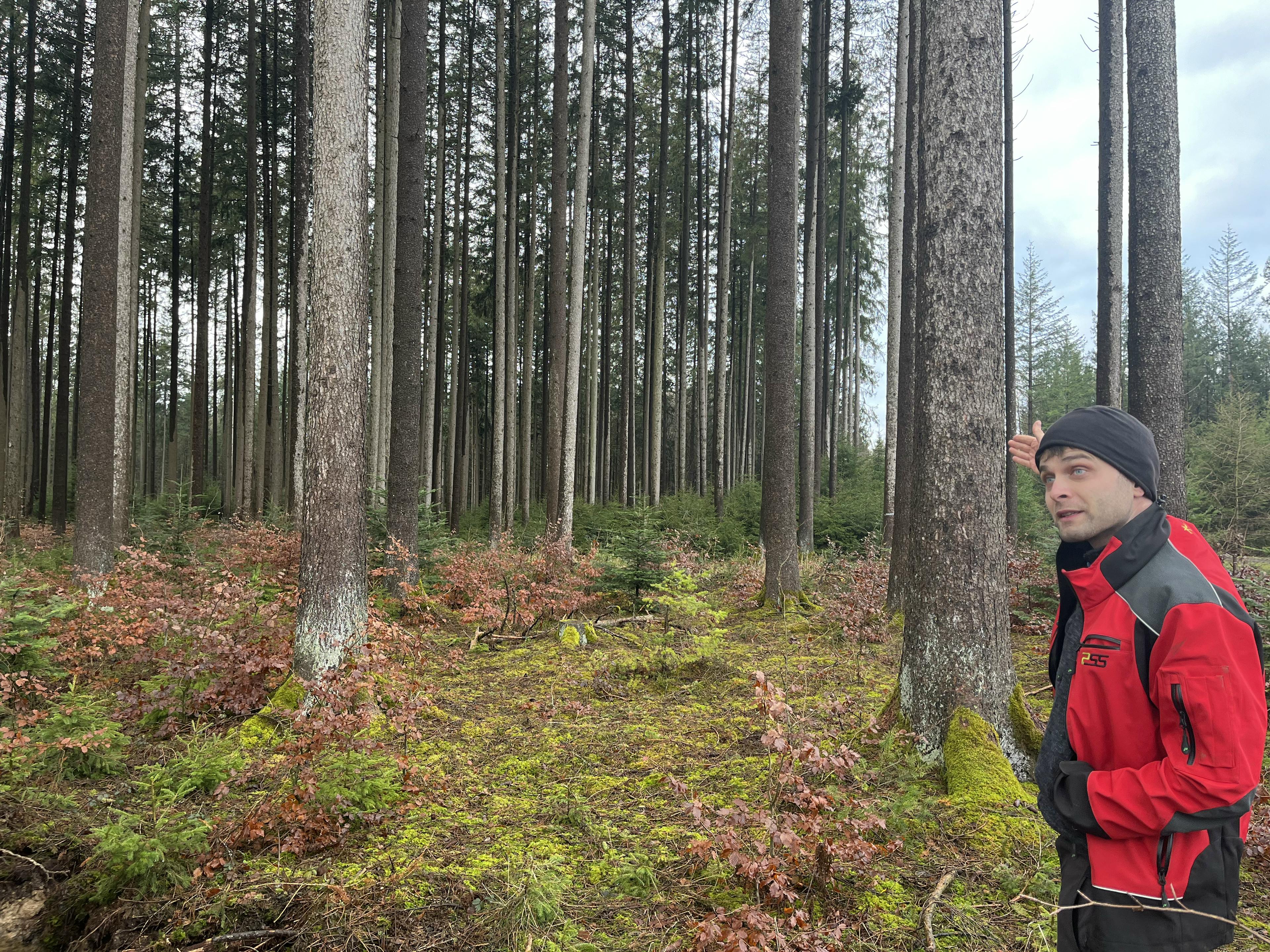 Förster Dubetz in seinem Wald in Grossaitingen