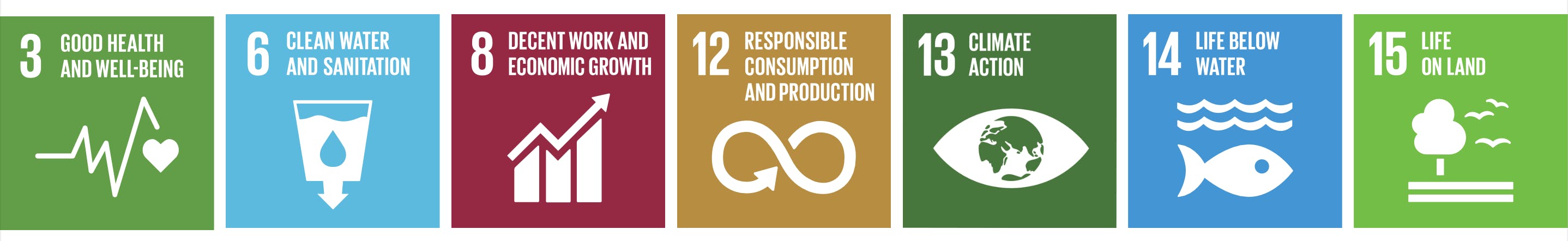 The icons of the Sustainable Development Goals Number 3, 6, 8 , 12, 13, 14, 154
