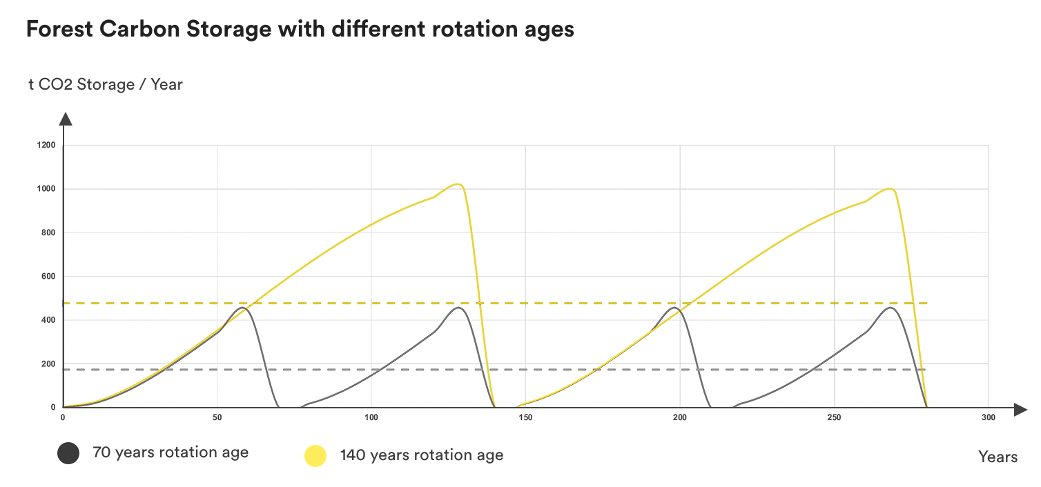Graph of forest carbon storage with different rotation ages 