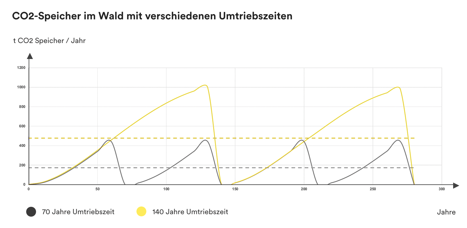 Grafik die den CO2-Speicher im Wald mit verschiedenen Umtriebszeiten über die Jahre visualisiert