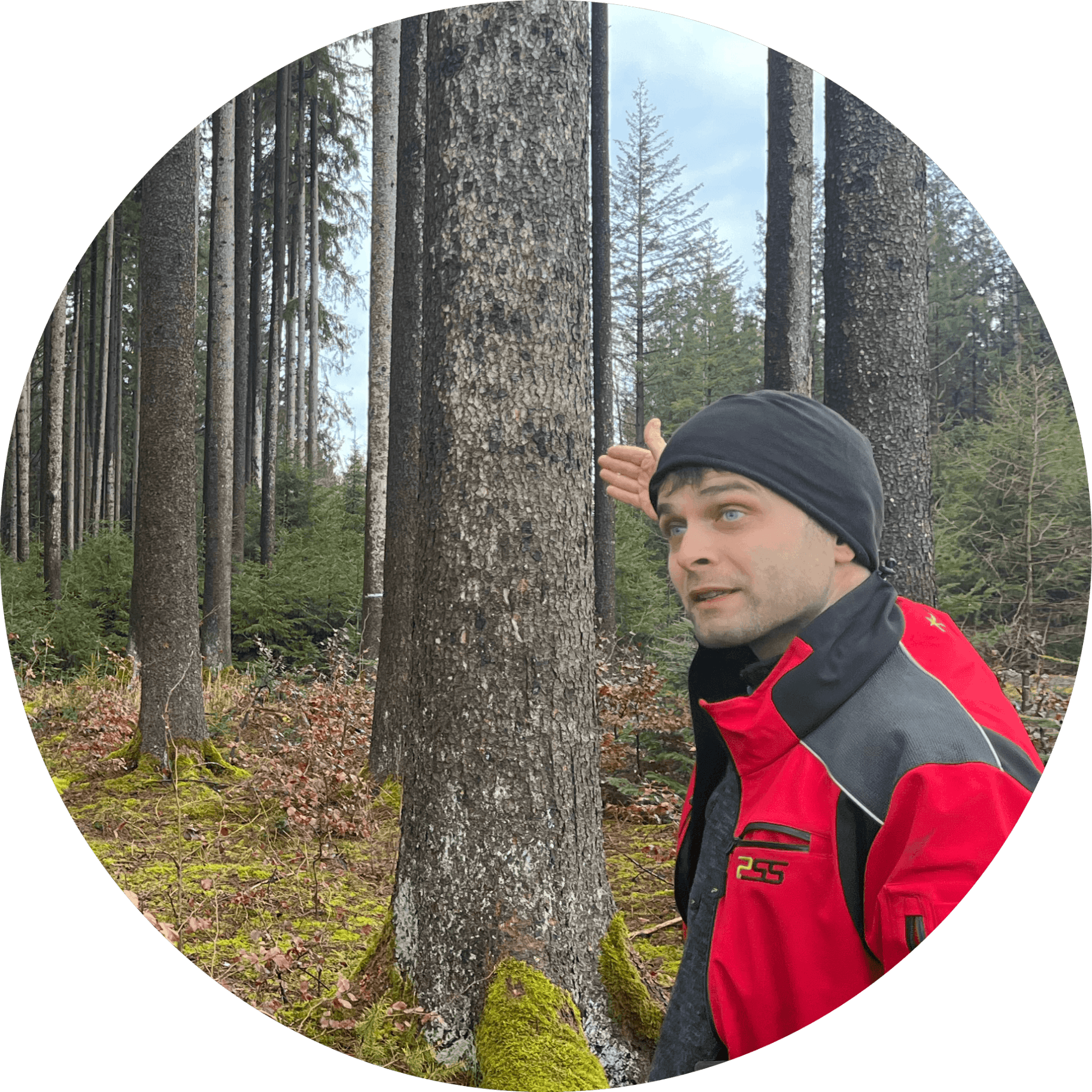 A forester explaining his approach standing in the forest.
