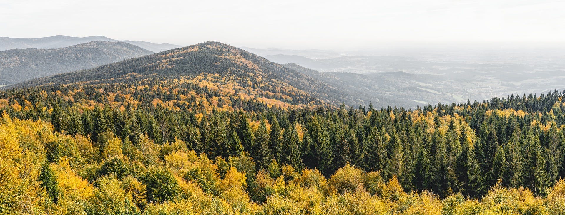 Image taken from the top of a mountain showing mixed forests and Bavarian mountain views.