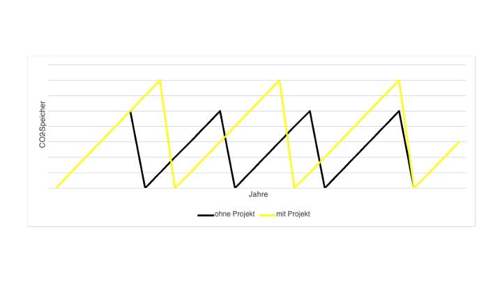 Grafik, die den Unterschied der CO2-Speicherleistung im Zeitverlauf (in Jahren) zeigt mit Klimaschutzprojekt und ohne Klimaschutzprojekt.