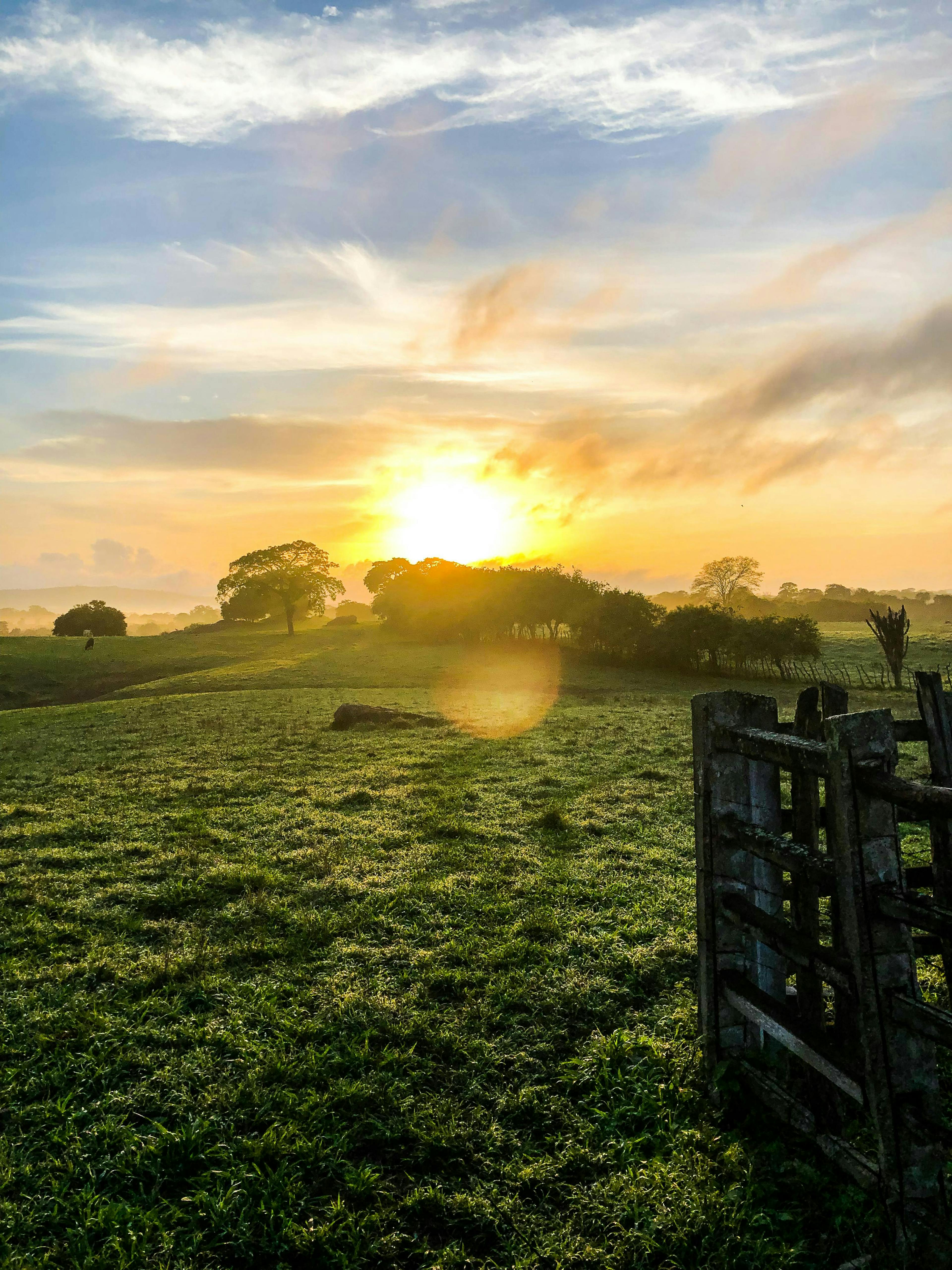 Sun rise