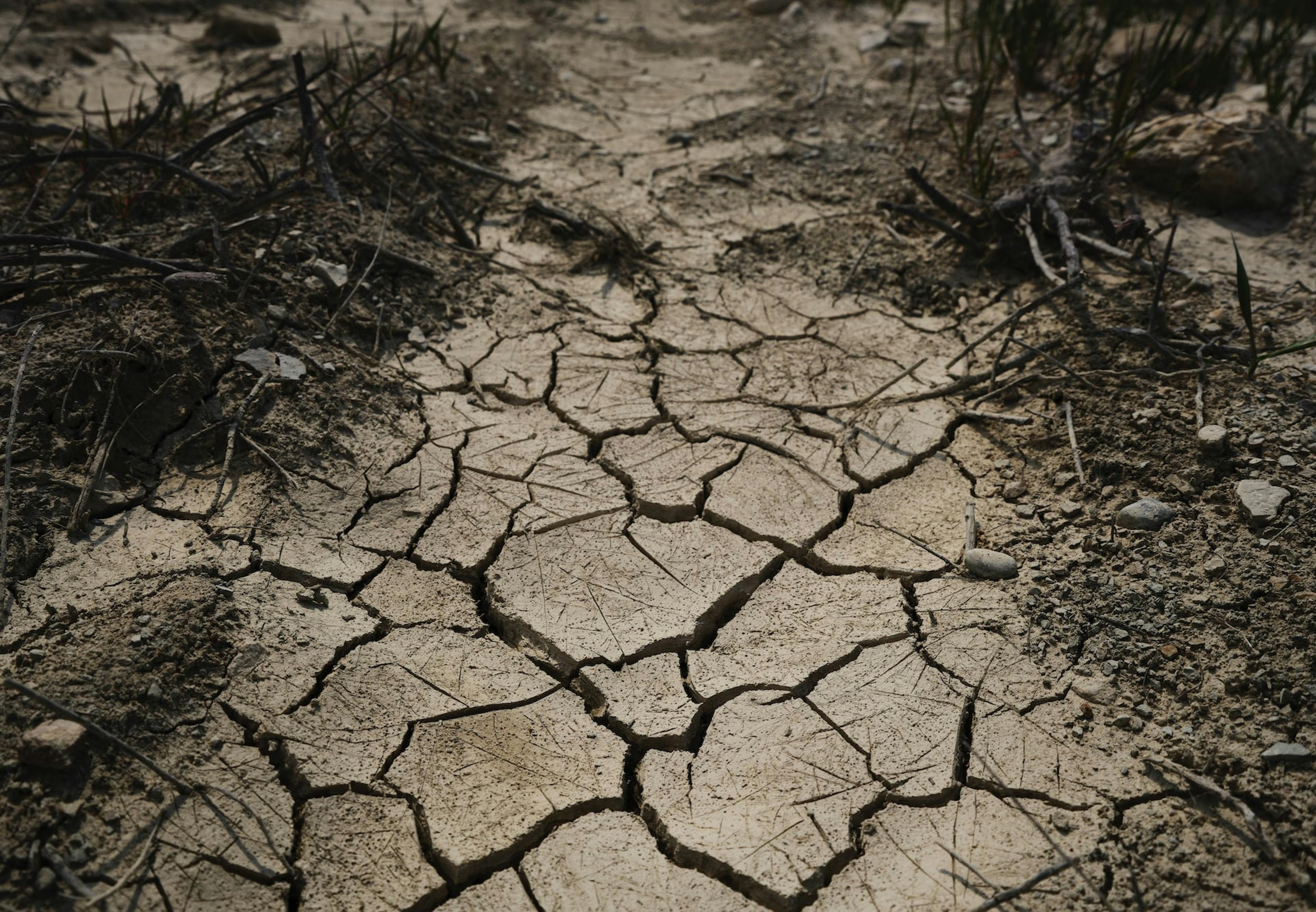 Climate Justice