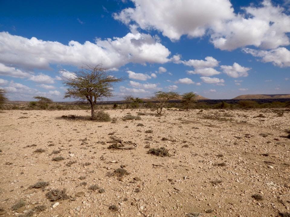 Desert