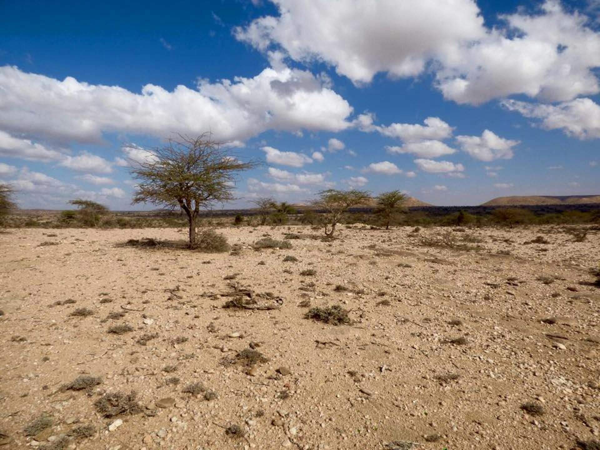 Desert
