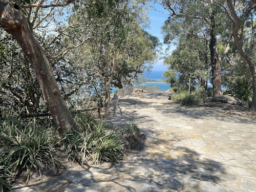A photograph of sandstone steps and a path in a bush setting, leading towards a lookout with expansive views.  Blue sky and water is visible in the background.