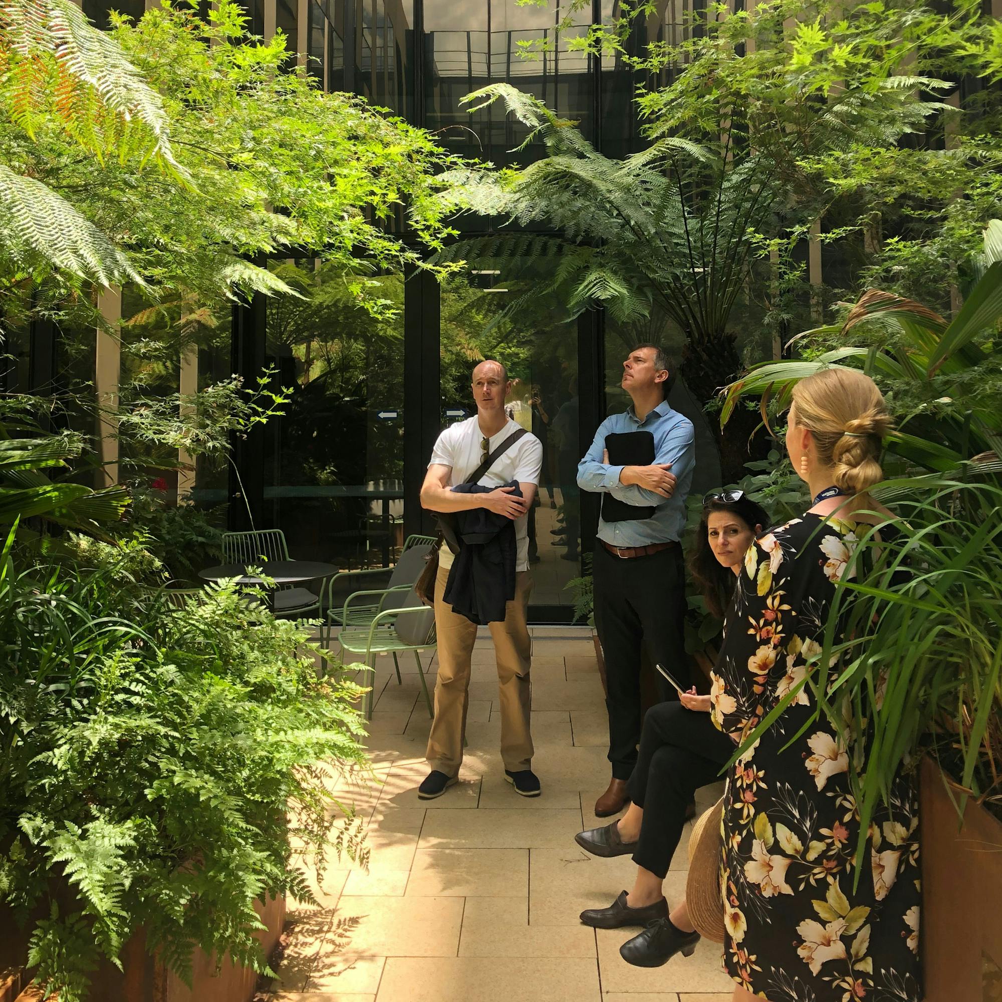 A photograph of group of business people in a courtyard space surrounded by lush green planting, including ferns. The courtyard is surrounded by a glazed building, with a reflection of the sky visible at the top of the image.