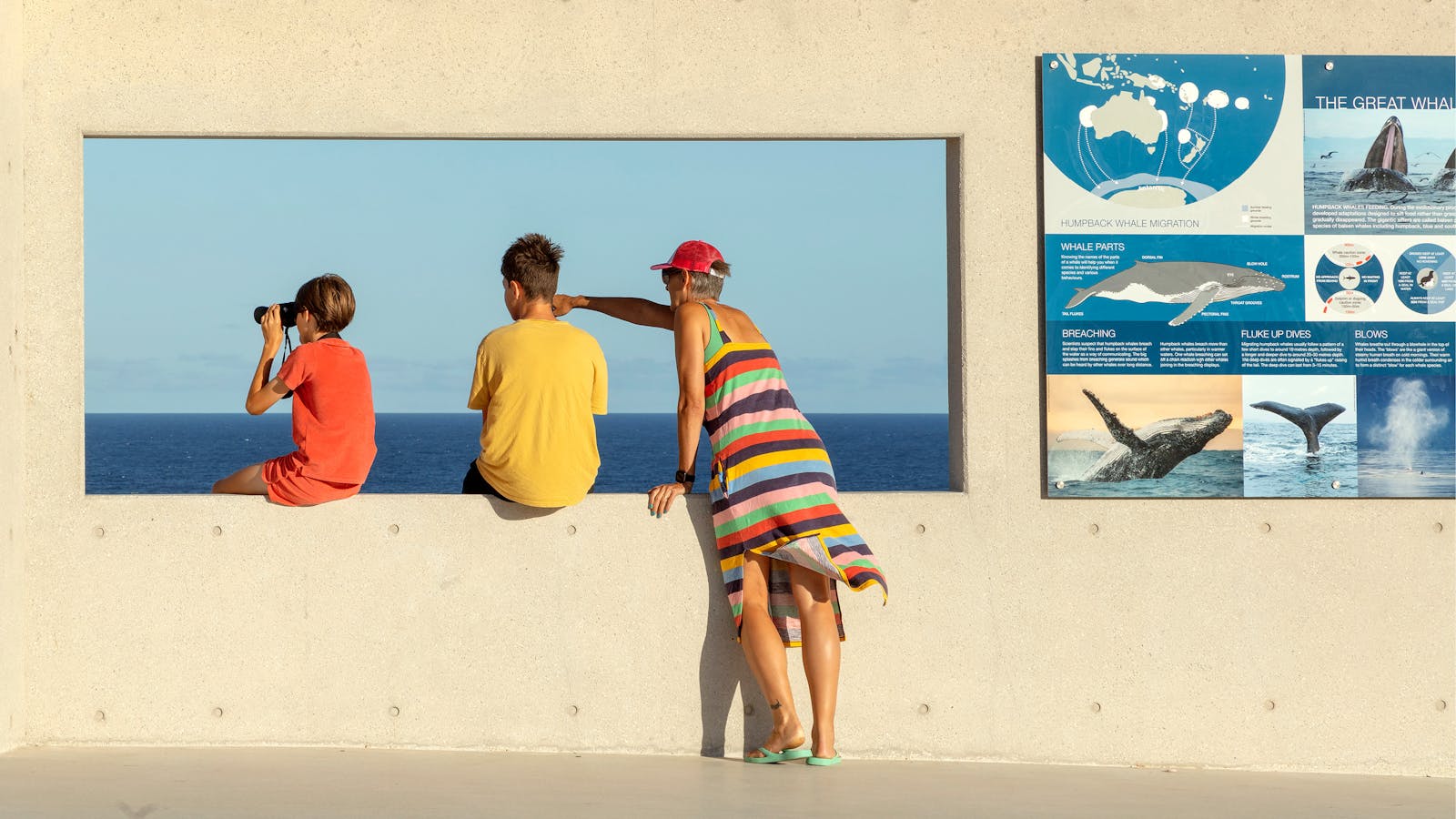 A photograph of three people in bright coloured clothing looking through an open outdoor window towards the sea. There is signage with whale images on the right. One person is pointing, and another is looking through binoculars.
