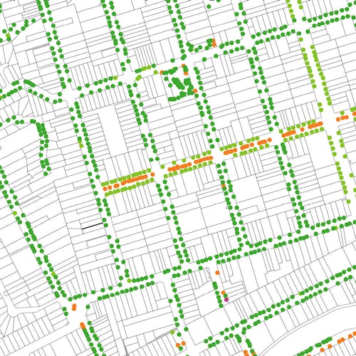 A graphic with coloured dots representing trees on a cropped black and white map of the study area.
