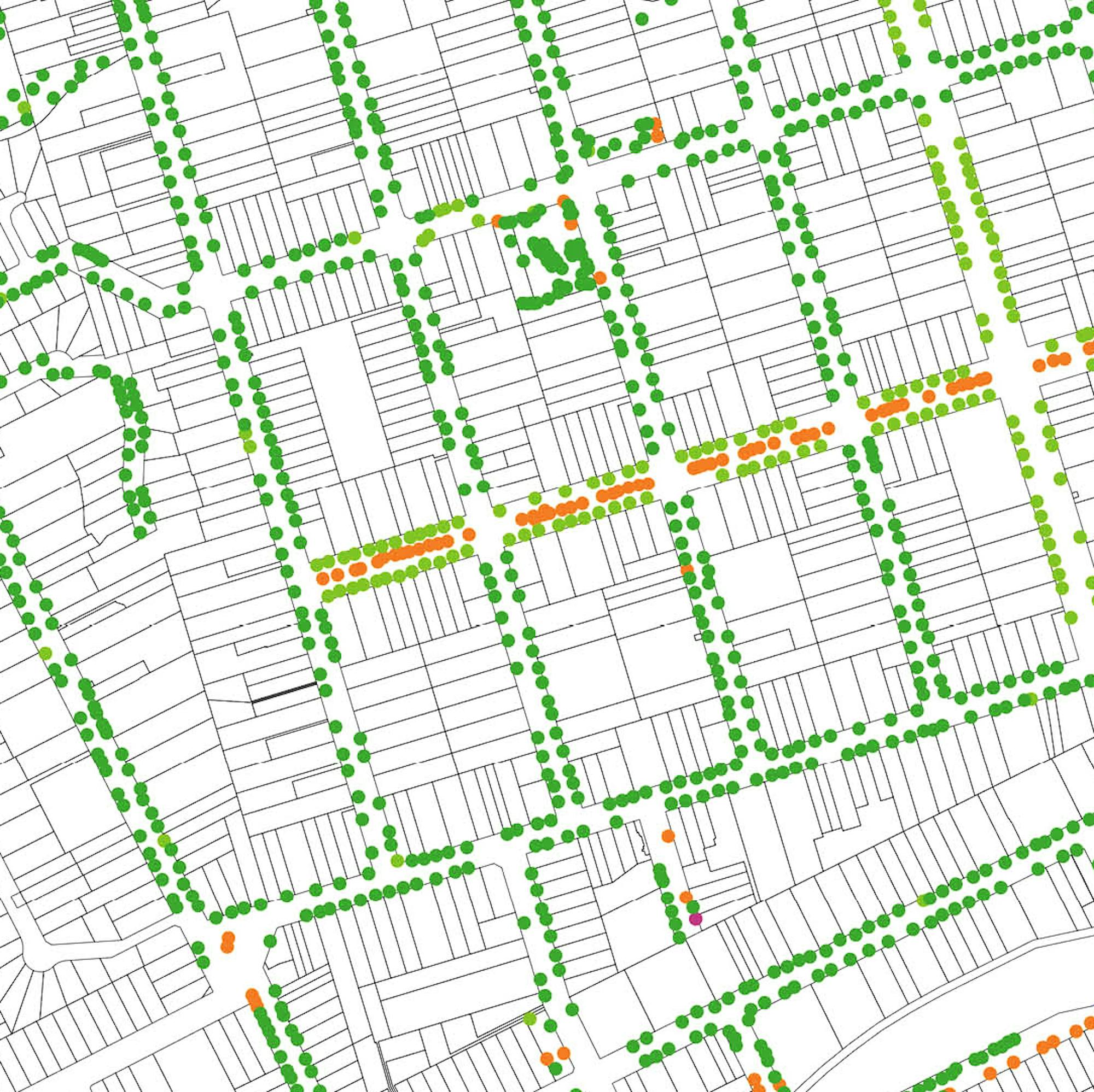 A graphic with coloured dots representing trees on a cropped black and white map of the study area.