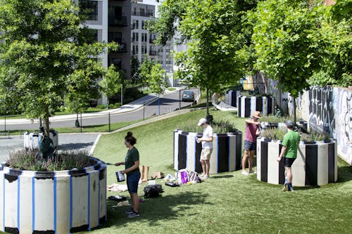 A photograph of people painting stripes on large concrete planters. The planters each have a tree surrounded by small flowering shrubs. They are located on a grassy slope next to a wall of graffiti.  Apartment buildings can be seen in the background. 