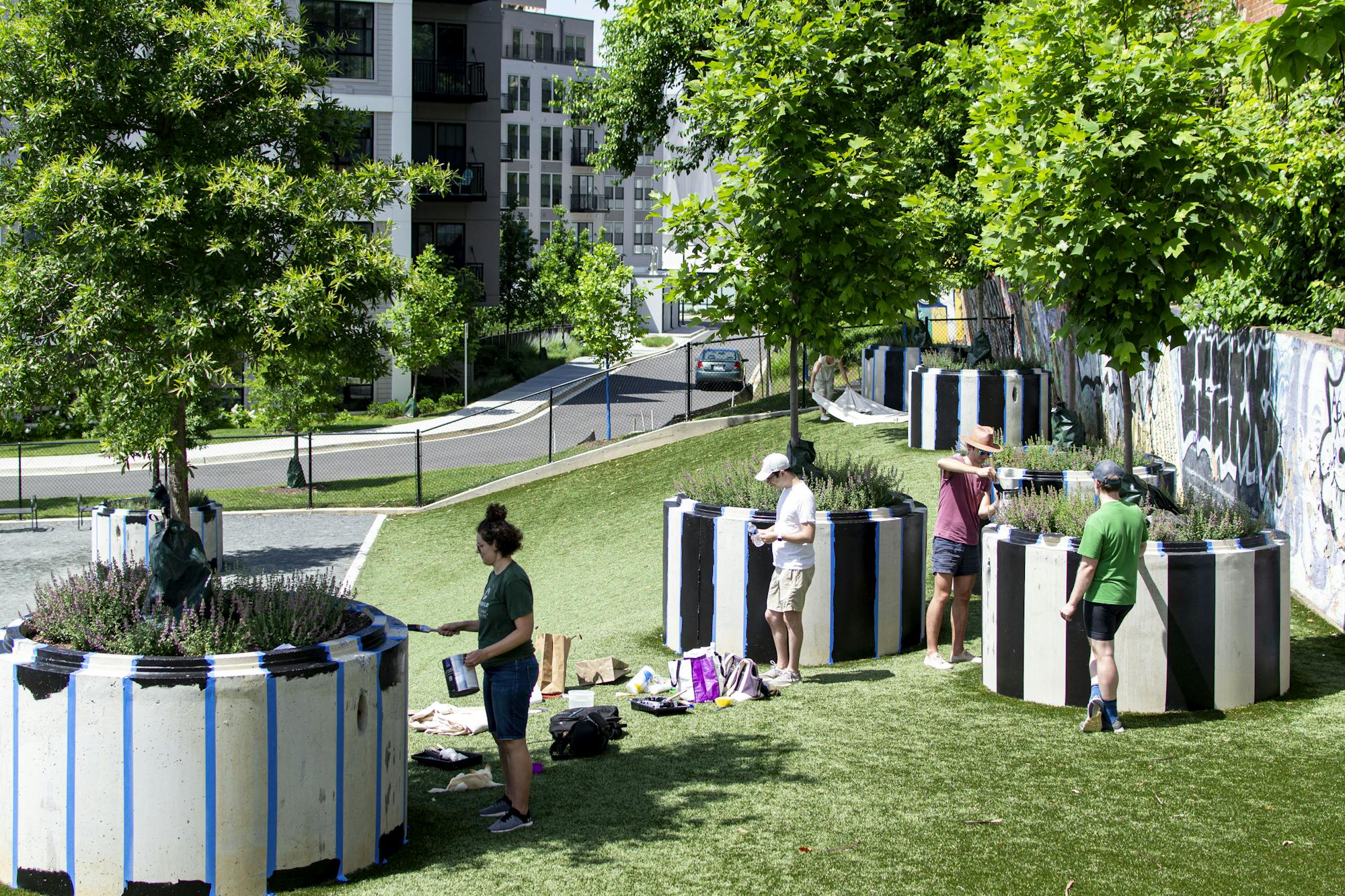 A photograph of people painting stripes on large concrete planters. The planters each have a tree surrounded by small flowering shrubs. They are located on a grassy slope next to a wall of graffiti.  Apartment buildings can be seen in the background. 