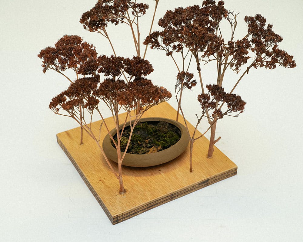 A photo of a small conceptual landscape model on a plywood base.